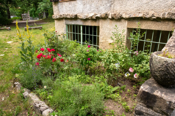 Logement entier – Image 5